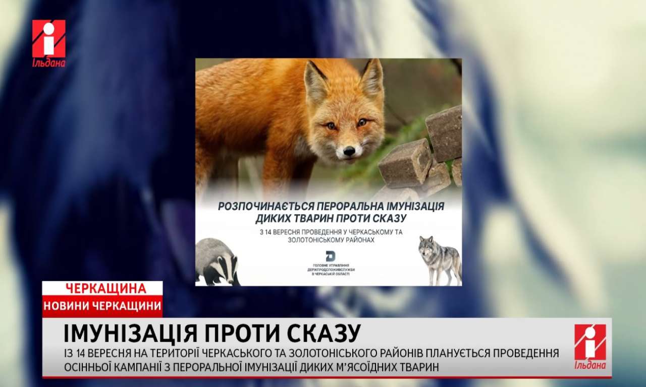 На території Черкаського та Золотоніського районів проводитимуть кампанію з імунізації диких тварин проти сказу (ВІДЕО)